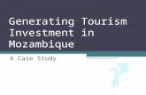 Generating Tourism Investment in Mozambique A Case Study.