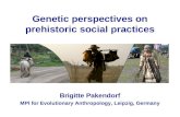 Genetic perspectives on prehistoric social practices Brigitte Pakendorf MPI for Evolutionary Anthropology, Leipzig, Germany.