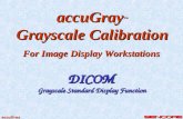 AccuGray ™ Grayscale Calibration For Image Display Workstations DICOM Grayscale Standard Display Function accuGray.