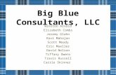 Big Blue Consultants, LLC Winston Arnold Elizabeth Combs Jeremy Glahn Ravi Mahajan Scott Moody Eric Mueller David Nelson Tiffany Owens Travis Russell Carrie.