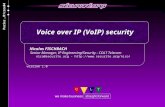 Nicolas FISCHBACH Senior Manager, IP Engineering/Security - COLT Telecom nico@securite.org -  version 1.0 Voice over IP (VoIP)