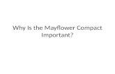 Why Is the Mayflower Compact Important?. The Mayflower Compact is important because it is an example of representative government. The men of the Mayflower.