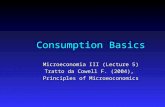 Consumption Basics Microeconomia III (Lecture 5) Tratto da Cowell F. (2004), Principles of Microeoconomics.