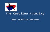 The Carolina Futurity 2015 Stallion Auction. Stallions Services 2015 Mid-Atlantic Silent Auction Brookhill’s Apollon For Every Wish HS Castle Vision HS.