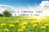 William Shakespeare. WILLIAM SHAKESPEARE TYPE AND STRUCTURE Lyrical poem – Shakespearean Sonnet/English Sonnet 3 quatrains: abab, cdcd, efef 1 rhyming.