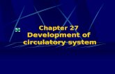 Chapter 27 Development of circulatory system. 1.Formation of primitive cardiovascular system.