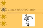 Muscoloskeletal System. Musculoskeletal System Consists of:  Bones  Muscles  Joints  cartilage.