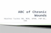 Heather Tucker RN, MSN, APRN, FNP-BC, CWS.  Objectives ◦ Discuss normal wound healing ◦ Discuss the major wound classifications of chronic wounds and.