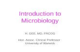Introduction to Microbiology H. GEE. MD, FRCOG Hon. Assoc. Clinical Professor University of Warwick.