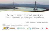 Seismic Retrofit of Bridges “ EP – Estradas de Portugal” Experience Tiago Rodrigues, Estradas de Portugal Workshop DynamicPerformance, Assessment & Rehabilitation.