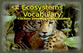 Teaching With Teaching Slides Ecosystems Vocabulary Clickers Interactive Presentation Created by: Cindy Jarrett Cindy Jarrett Teaching Slides Ecosystems.