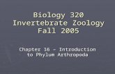 Biology 320 Invertebrate Zoology Fall 2005 Chapter 16 – Introduction to Phylum Arthropoda.