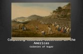 Comparing Colonial Societies in the Americas Colonies of Sugar.