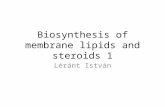Biosynthesis of membrane lipids and steroids 1 Léránt István.