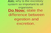 Aim: why is the excretory system so important to all organisms Do Now: state the difference between egestion and excretion.