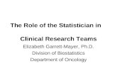 The Role of the Statistician in Clinical Research Teams Elizabeth Garrett-Mayer, Ph.D. Division of Biostatistics Department of Oncology.