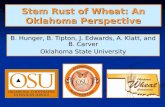 Stem Rust of Wheat: An Oklahoma Perspective B. Hunger, B. Tipton, J. Edwards, A. Klatt, and B. Carver Oklahoma State University.