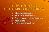 5 COMPONENTS OF HEALTH-RELATED FITNESS 1. Muscle strength 2. Muscle endurance 3. Cardiovascular endurance 4. Flexibility 5. Body composition.