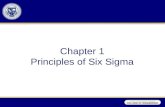 Chapter 1 Principles of Six Sigma. Meaning of Six Sigma Enterprise level -- strategic business initiative –significant improvements in areas such as bus.,