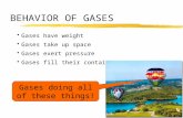 BEHAVIOR OF GASES Gases have weight Gases take up space Gases exert pressure Gases fill their containers Gases doing all of these things!