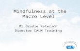 Mindfulness at the Macro Level Dr Brodie Paterson Director CALM Training.