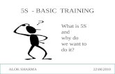 5S - BASIC TRAINING What is 5S and why do we want to do it? ALOK SHARMA 22\06\2010.
