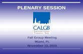 PLENARY SESSION Fall Group Meeting Miami, FL November 13, 2010.