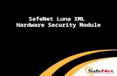 SafeNet Luna XML Hardware Security Module. SafeNet Protects Crypto Keys Business IssuesSafeNet Solution Need to protect sensitive data, transactions &