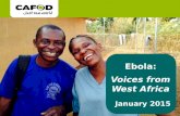 Ebola: Voices from West Africa January 2015. What is Ebola? Since the outbreak of the epidemic in 2014, over 22, 000 people have been infected by Ebola.