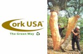 The Cork Forest Cork is an eminently renewable resource harvested from the living bark of the Cork Oak. Cork is harvested in a steady cycle that promotes.