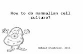 How to do mammalian cell culture? Behzad Khoshnood, 2015.