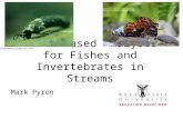 Trait-based Analyses for Fishes and Invertebrates in Streams Mark Pyron Stoeckerecological.com.