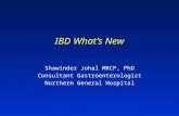 IBD What’s New Shawinder Johal MRCP, PhD Consultant Gastroenterologist Northern General Hospital.