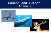 Humans and (Other) Animals. Lesson aims  To introduce issues about the moral status of animals  To consider the range of biblical perspectives on this.