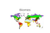 Biomes. A terrestrial ecosystem determined by: –A. climate –B. vegetation and –C. organisms adapted to the environment.