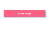 Knee Joint. Objectives  Name and identify the bony features of the tibia and fibula.  Know the type and formation of knee joint.  Explain the stability.