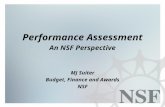 1 Performance Assessment An NSF Perspective MJ Suiter Budget, Finance and Awards NSF.