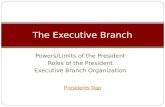 Powers/Limits of the President Roles of the President Executive Branch Organization The Executive Branch Presidents Rap.