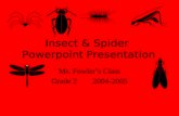 Insect & Spider Powerpoint Presentation Ms. Fowler’s Class Grade 2 2004-2005.
