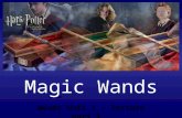 Magic Wands Woods Unit 1 - lecture part 1.