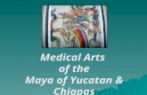 Medical Arts of the Maya of Yucatan & Chiapas. Five Areas of Traditional Practice  I´lolPulse Reader  Koponej witzPrayer Healer  Jve´t´omeMidwife