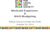 Medicaid Expansion & MAGI Budgeting Belkys Garcia & Arielle McTootle October 10, 2013.