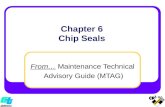 Chapter 6 Chip Seals From… Maintenance Technical Advisory Guide (MTAG)