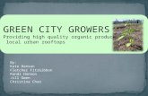 GREEN CITY GROWERS Providing high quality organic produce grown on local urban rooftops By: Kate Hanson Fletcher FitzGibbon Randi Hannon Jill Owen Christina.