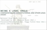BEING A LEGAL EAGLE CONFIDENTIALITY, CONSTITUTIONAL AND OTHER LEGAL ISSUES National Drug Court Institute Developed by Hon. William Meyer (Ret.) Presented/Modified.