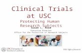 Clinical Trials at USC Protecting Human Research Subjects Susan L. Rose Executive Director Office for the Protection of Research Subjects.