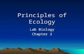 Principles of Ecology Lab Biology Chapter 2. Organisms and Their Environment Ecologists study the way organisms live in their environment. Biotic factors: