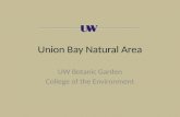 Union Bay Natural Area UW Botanic Garden College of the Environment.