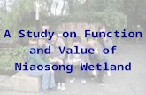 A Study on Function and Value of Niaosong Wetland.