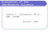 Evaluation of the TBA/Midwife Alliance Judith T. Fullerton, Ph.D., CNM, FACNM Nov/Dec, 2004.